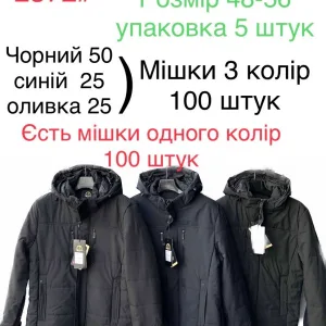 Чоловіча демісезонна стьобана куртка з капюшоном 2372