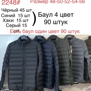 Чоловіча демісезонна стьобана куртка з капюшоном 2248