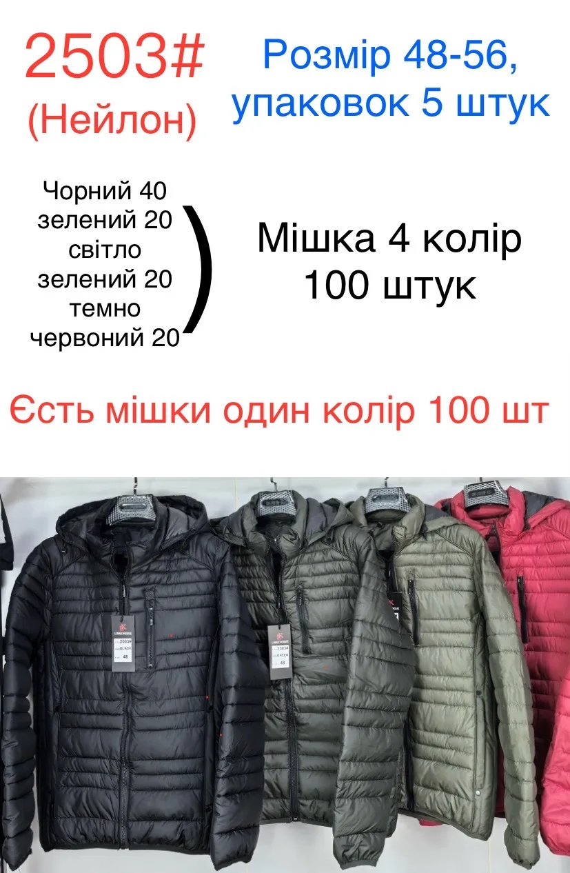 Чоловіча демісезонна стьобана куртка з капюшоном 2503